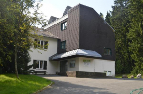 Отель Waldheim Weißenstadt  Вайсенштадт